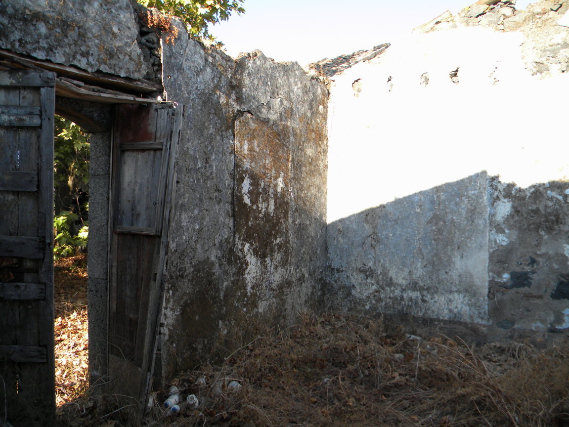 DSCN8002 .JPG